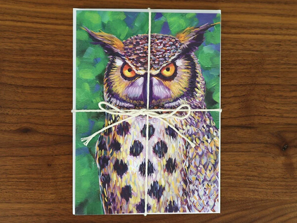 Owl Greeting Card